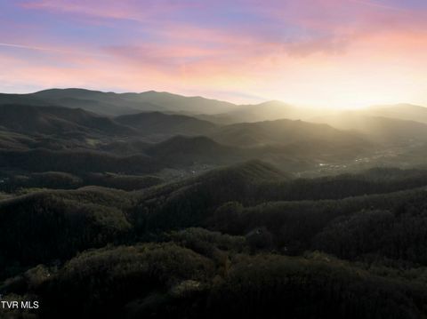 Vacant Land For Sale - TBD Buck Mountain Road<br/> Roan Mountain, TN 37687