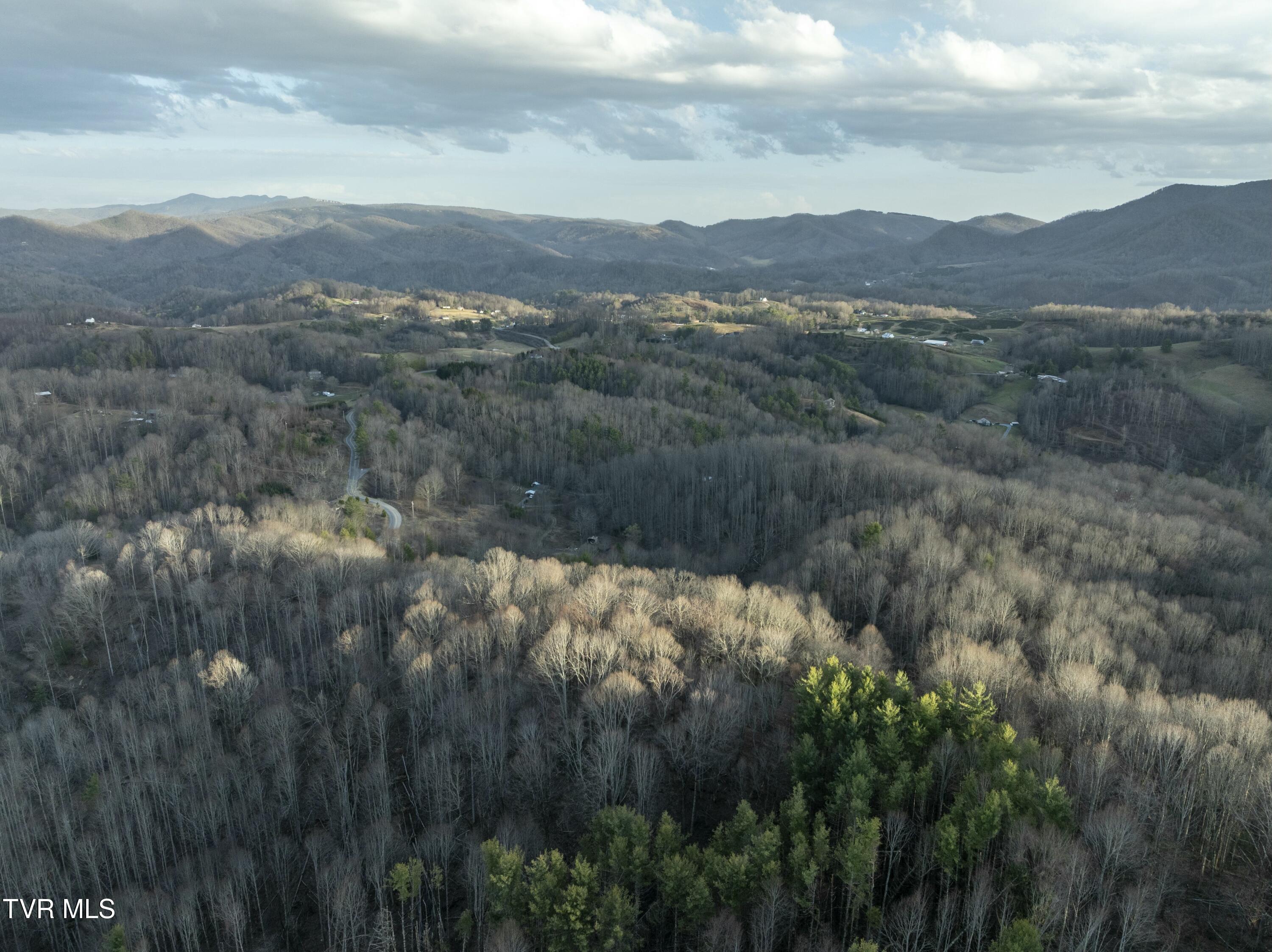 Tbd Buck Mountain Road, Roan Mountain, Tennessee image 9