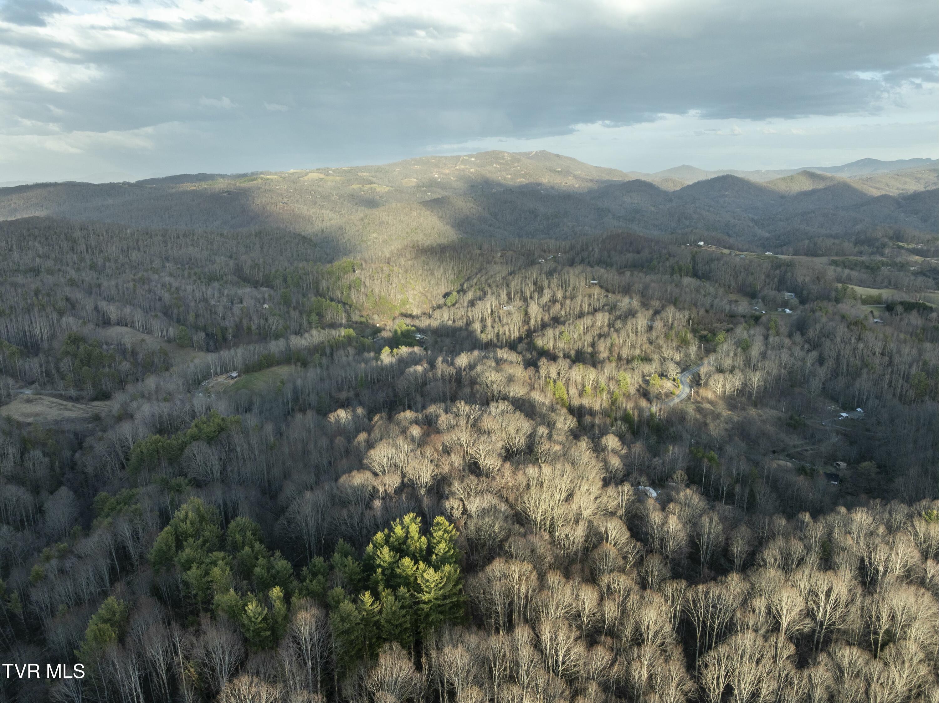 Tbd Buck Mountain Road, Roan Mountain, Tennessee image 8