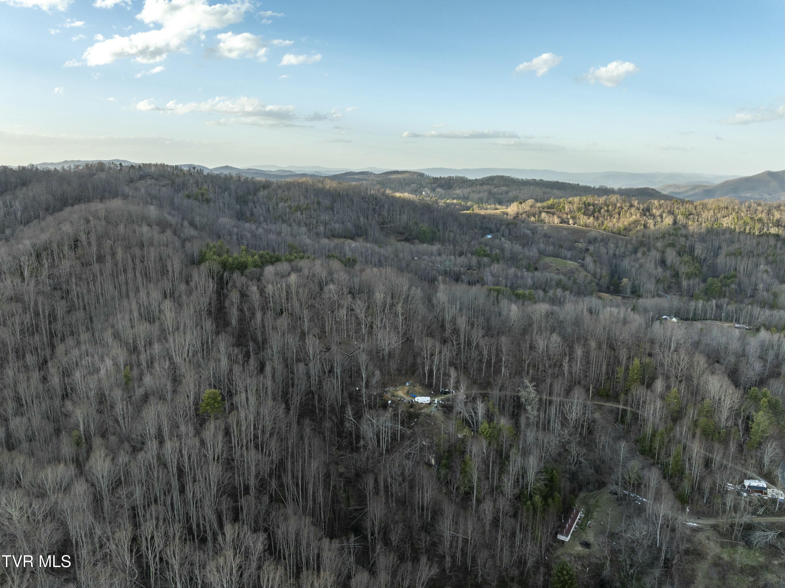 Tbd Buck Mountain Road, Roan Mountain, Tennessee image 6