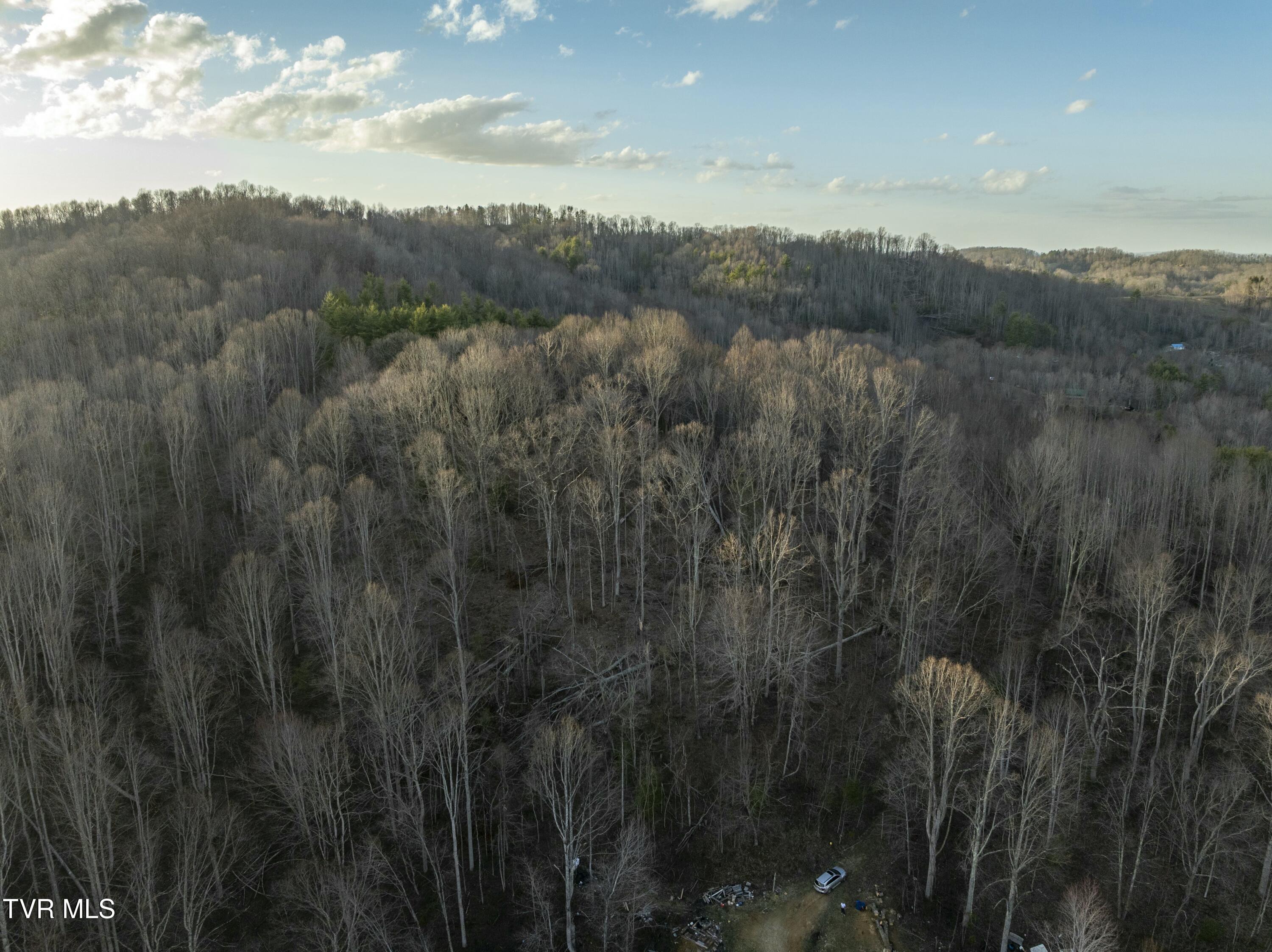 Tbd Buck Mountain Road, Roan Mountain, Tennessee image 20