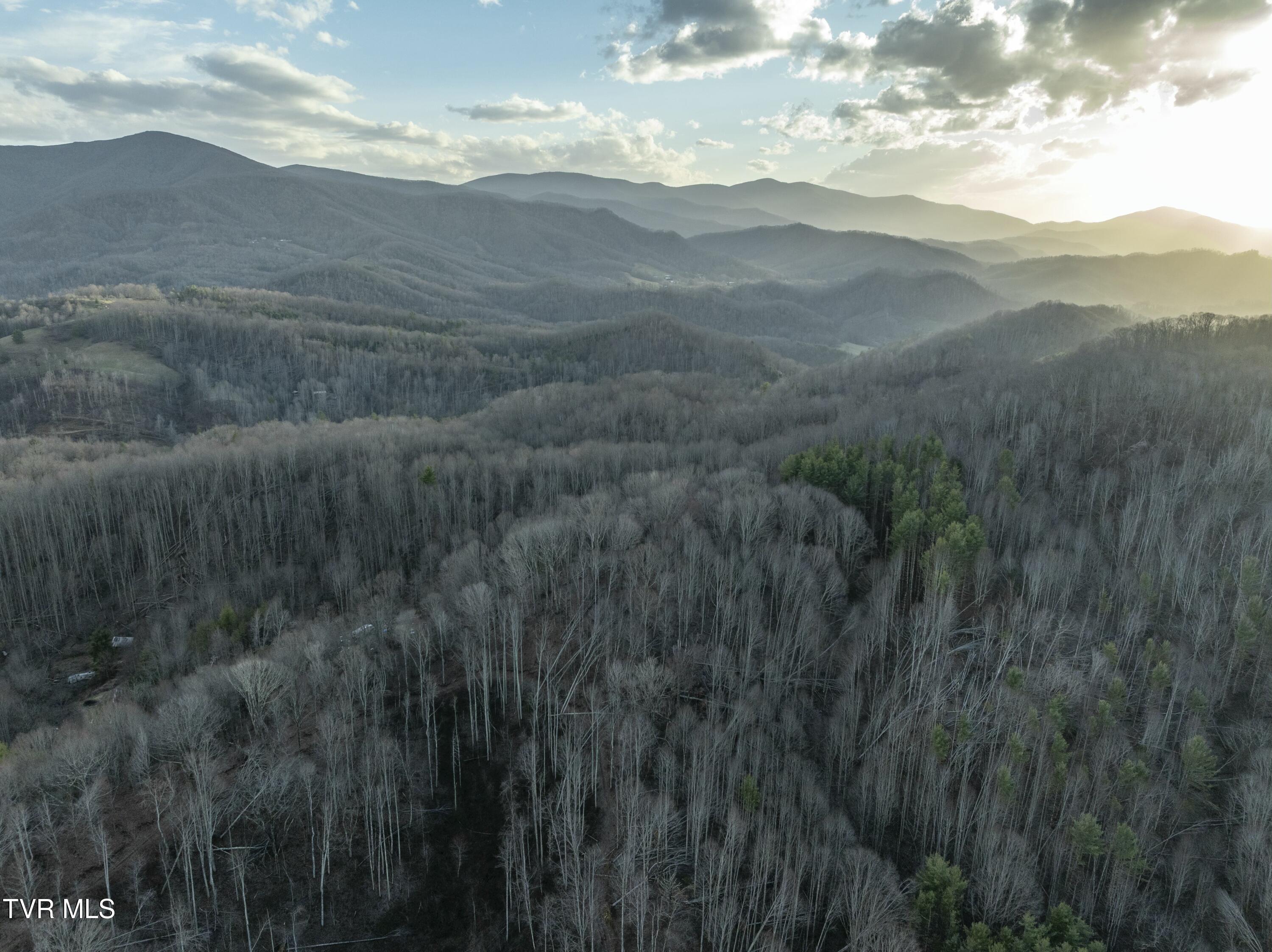 Tbd Buck Mountain Road, Roan Mountain, Tennessee image 11
