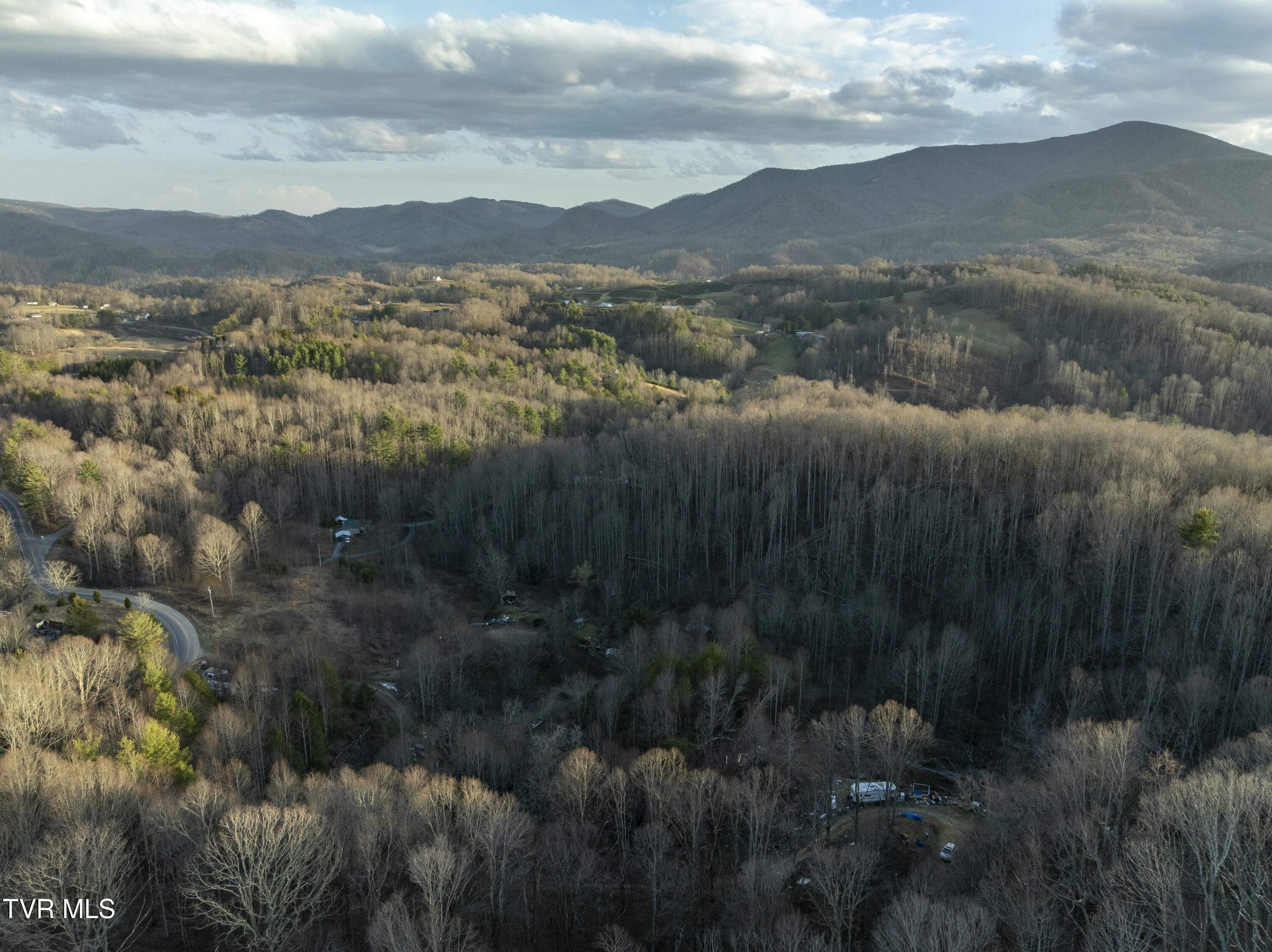 Tbd Buck Mountain Road, Roan Mountain, Tennessee image 18