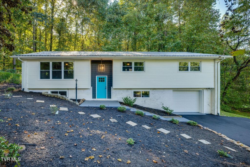 Photo of 124 Vip Road, Johnson City, TN 37601 (MLS # 9986242)