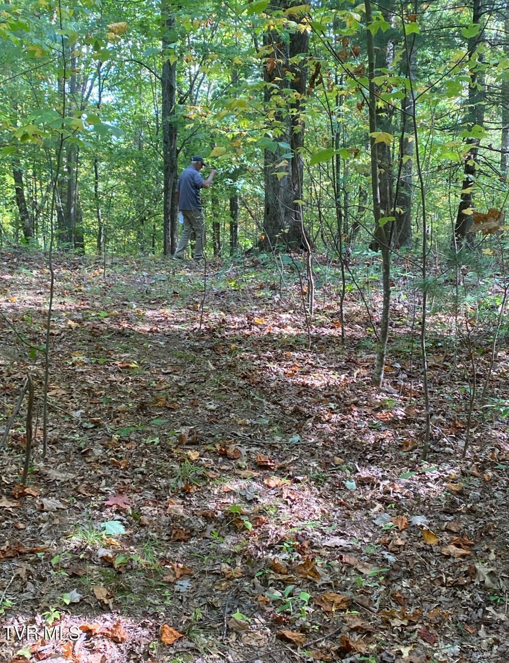 Photo of Tbd 000 Blackberry Hill Lane, Mountain City, TN 37683 (MLS # 9987658)