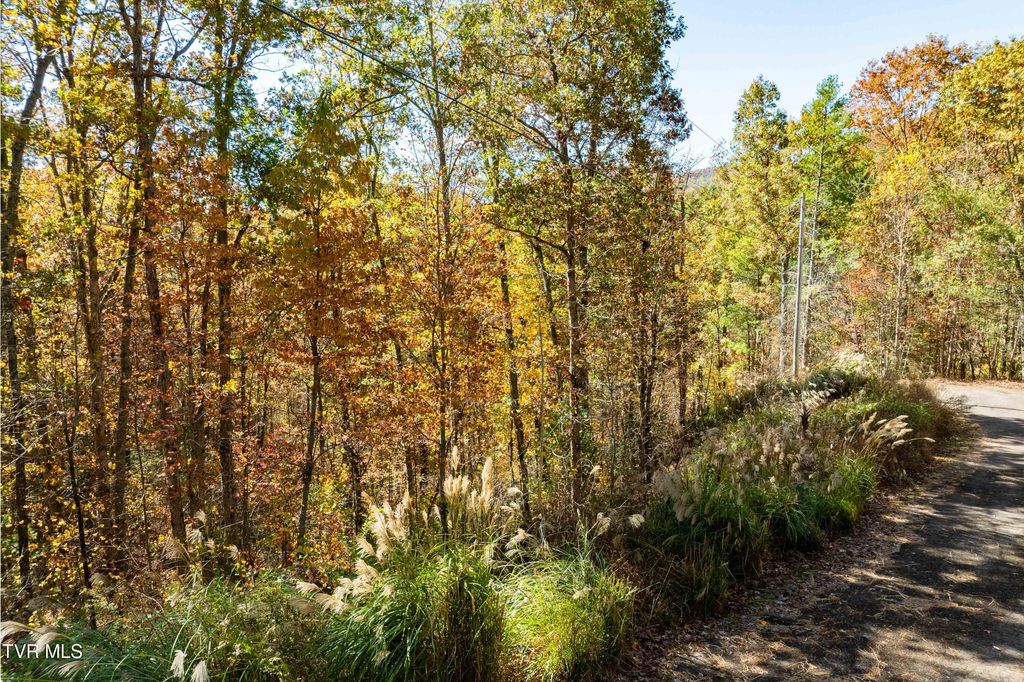 Photo of Tbd 000 Blackberry Hill Lane, Mountain City, TN 37683 (MLS # 9987658)