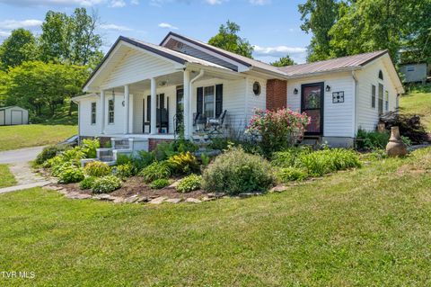 Photo of 118 Bowers Avenue, Johnson City, TN 37601 (MLS # 9995680)