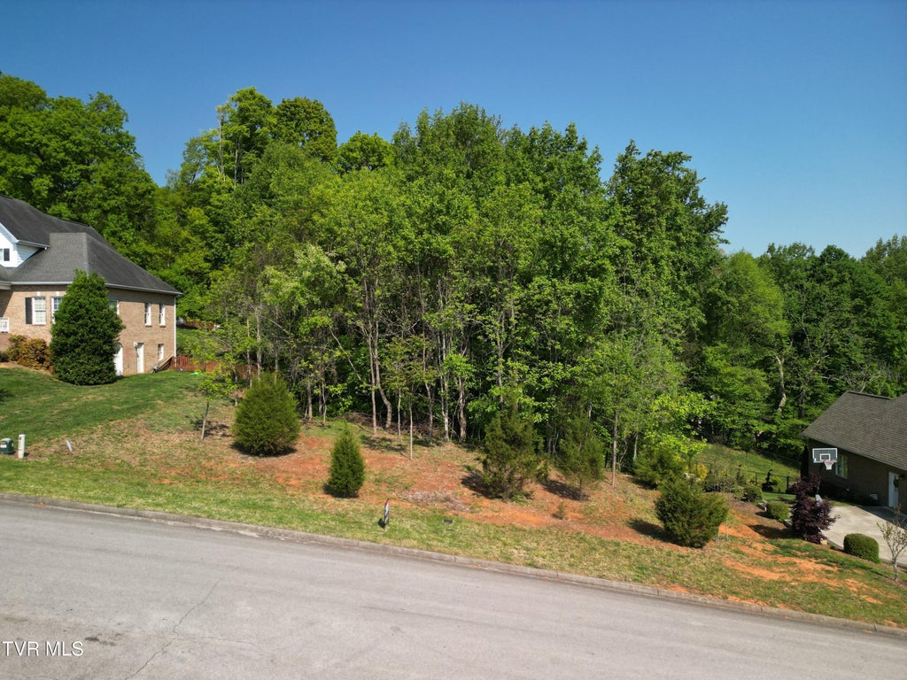 Photo of 160 Sugarcane Lane, Blountville, TN 37617 (MLS # 9998860)
