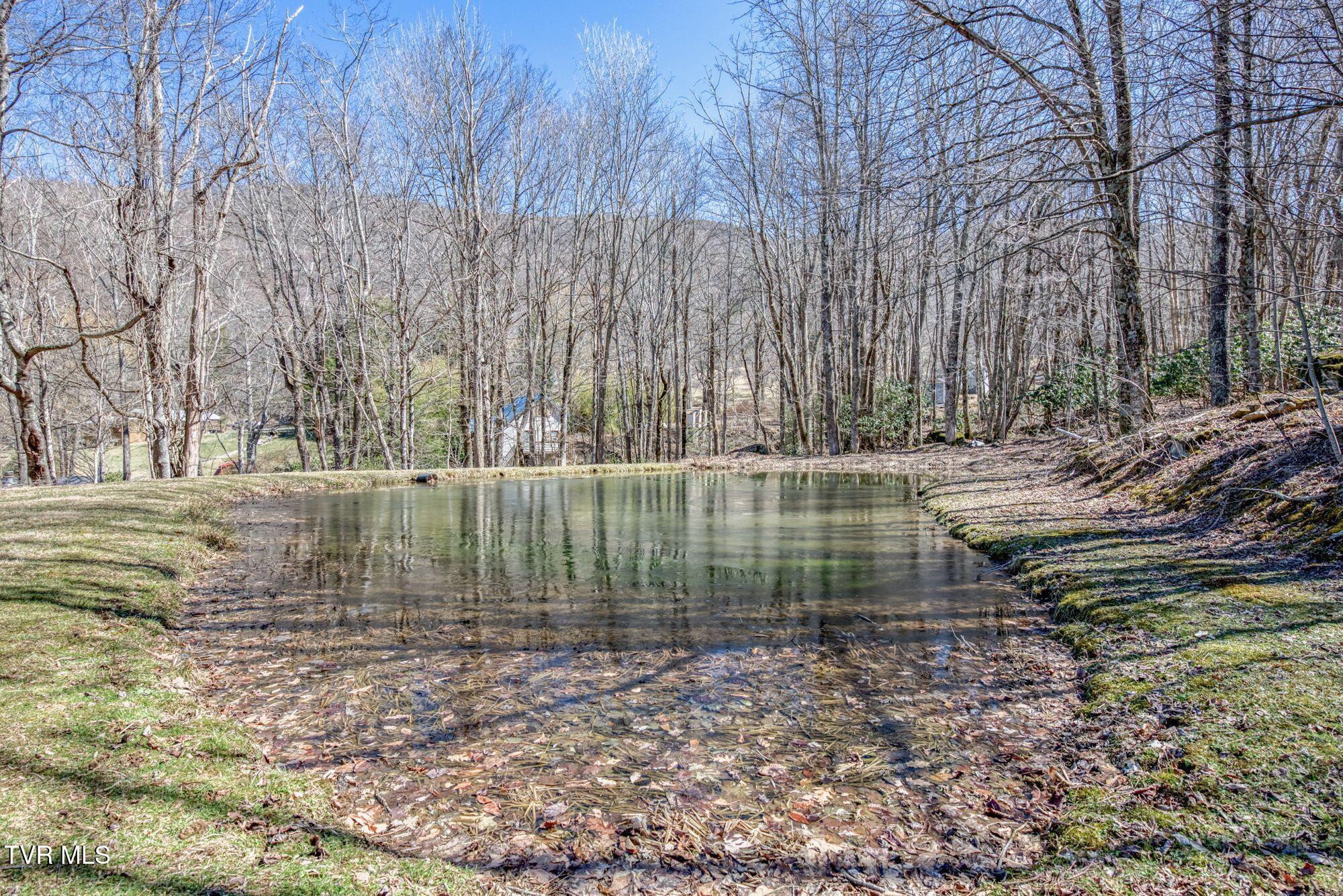 752 Heaton Creek Rd. Rd, Roan Mountain, Tennessee image 40
