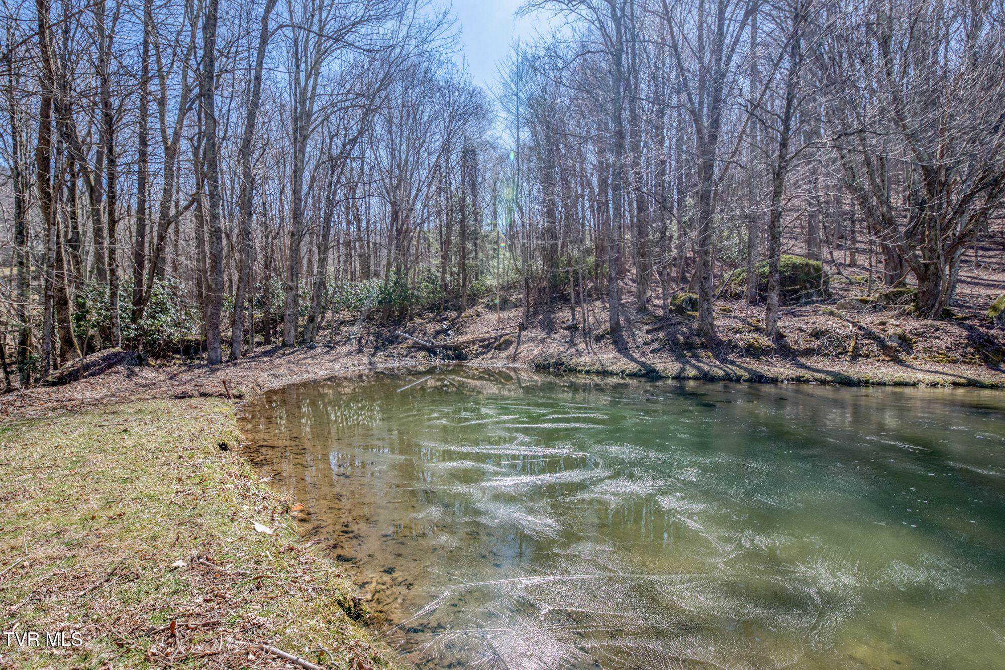 752 Heaton Creek Rd. Rd, Roan Mountain, Tennessee image 43