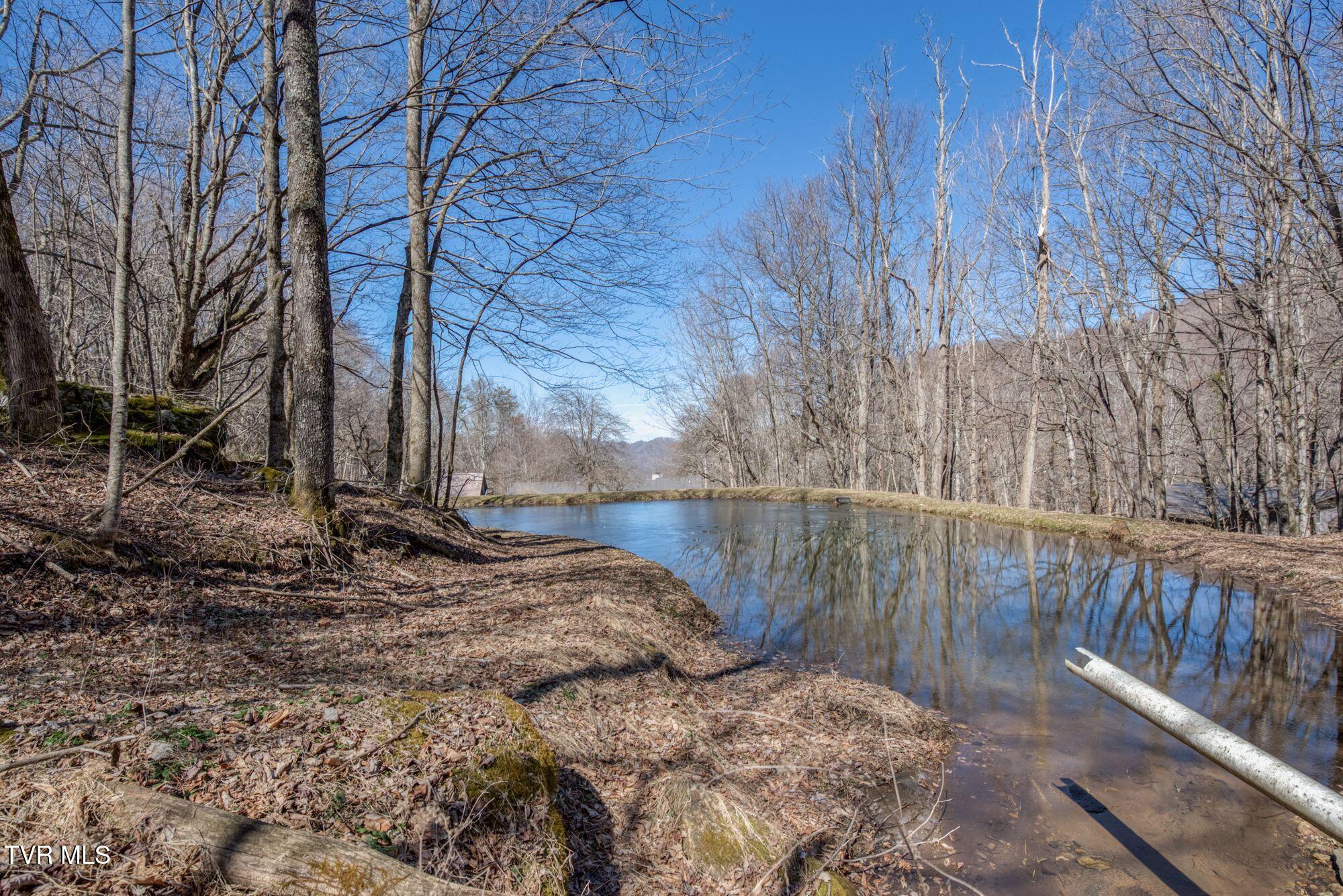 752 Heaton Creek Rd. Rd, Roan Mountain, Tennessee image 42