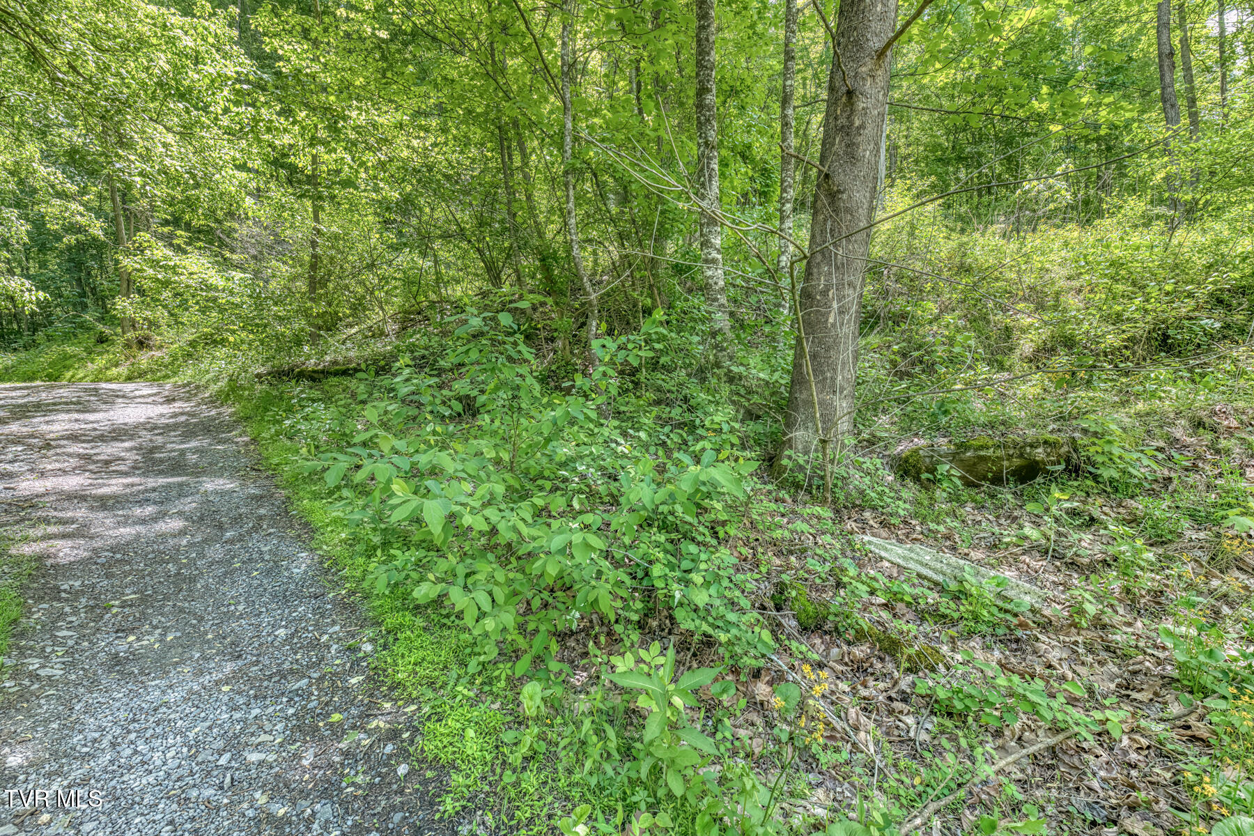 15631 Large Hollow Road