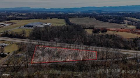 Vacant Land For Sale - Highway 11e<br/> Limestone, TN 37681