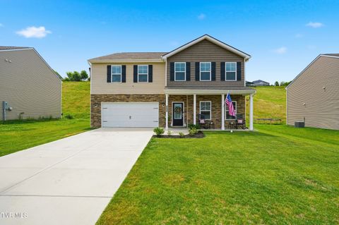 Homes For Sale - 2544 Bridgeforth Crossing<br/> Sullivan County County, Kingsport, TN 37664