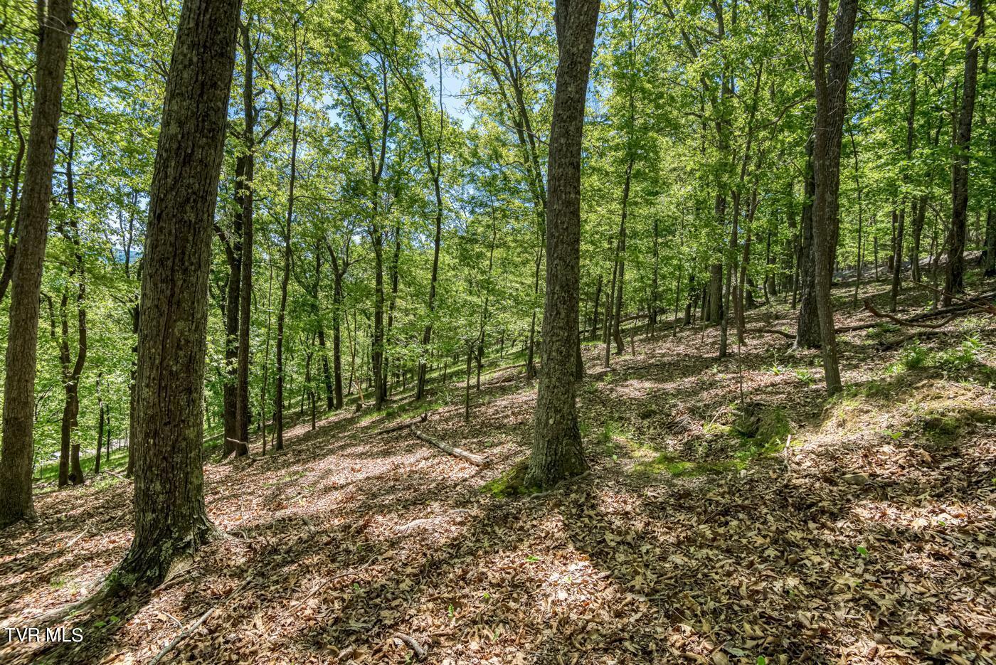 1184 Keetoowah Drive, Mooresburg, Tennessee image 20
