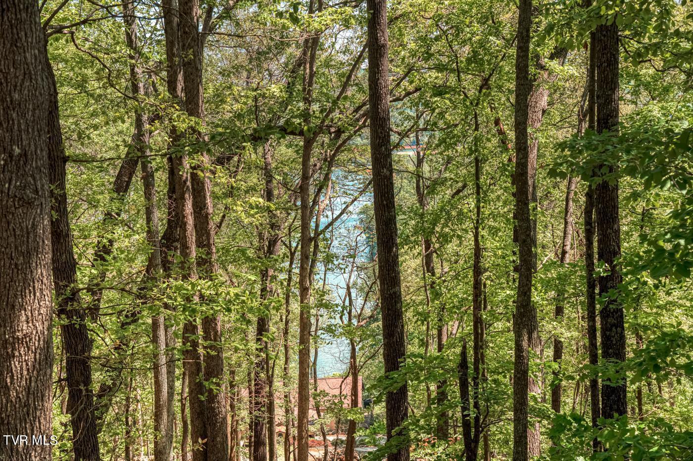 1184 Keetoowah Drive, Mooresburg, Tennessee image 3