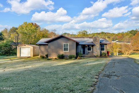 Homes For Sale - 2 Broadwood Circle<br/> Washington County County, Johnson City, TN 37604