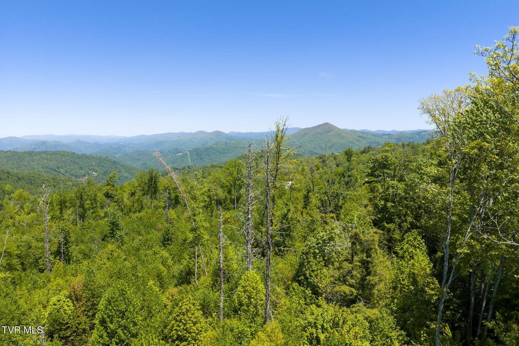 Photo of Tbd Walnut Mountain Road #Tbd, Roan Mountain, TN 37687 (MLS # 9995764)