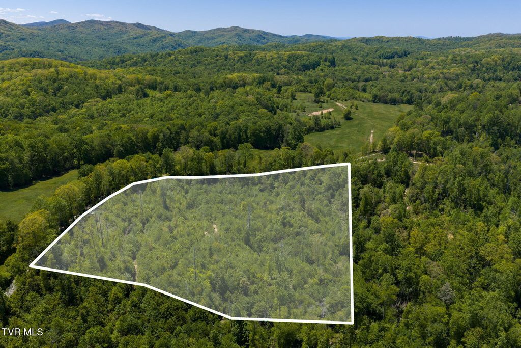 Photo of Tbd Walnut Mountain Road #Tbd, Roan Mountain, TN 37687 (MLS # 9995764)
