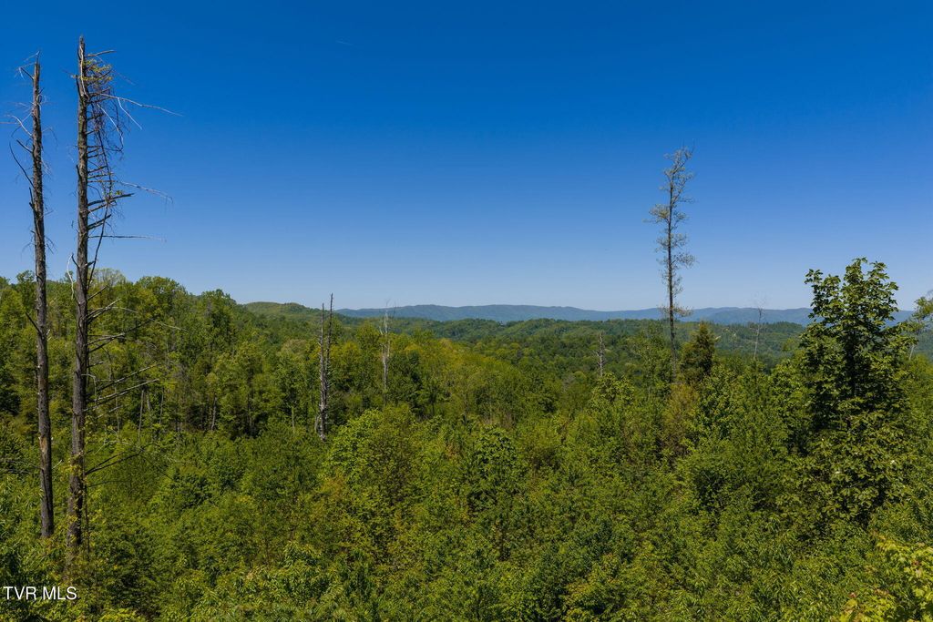 Photo of Tbd Walnut Mountain Road #Tbd, Roan Mountain, TN 37687 (MLS # 9995764)