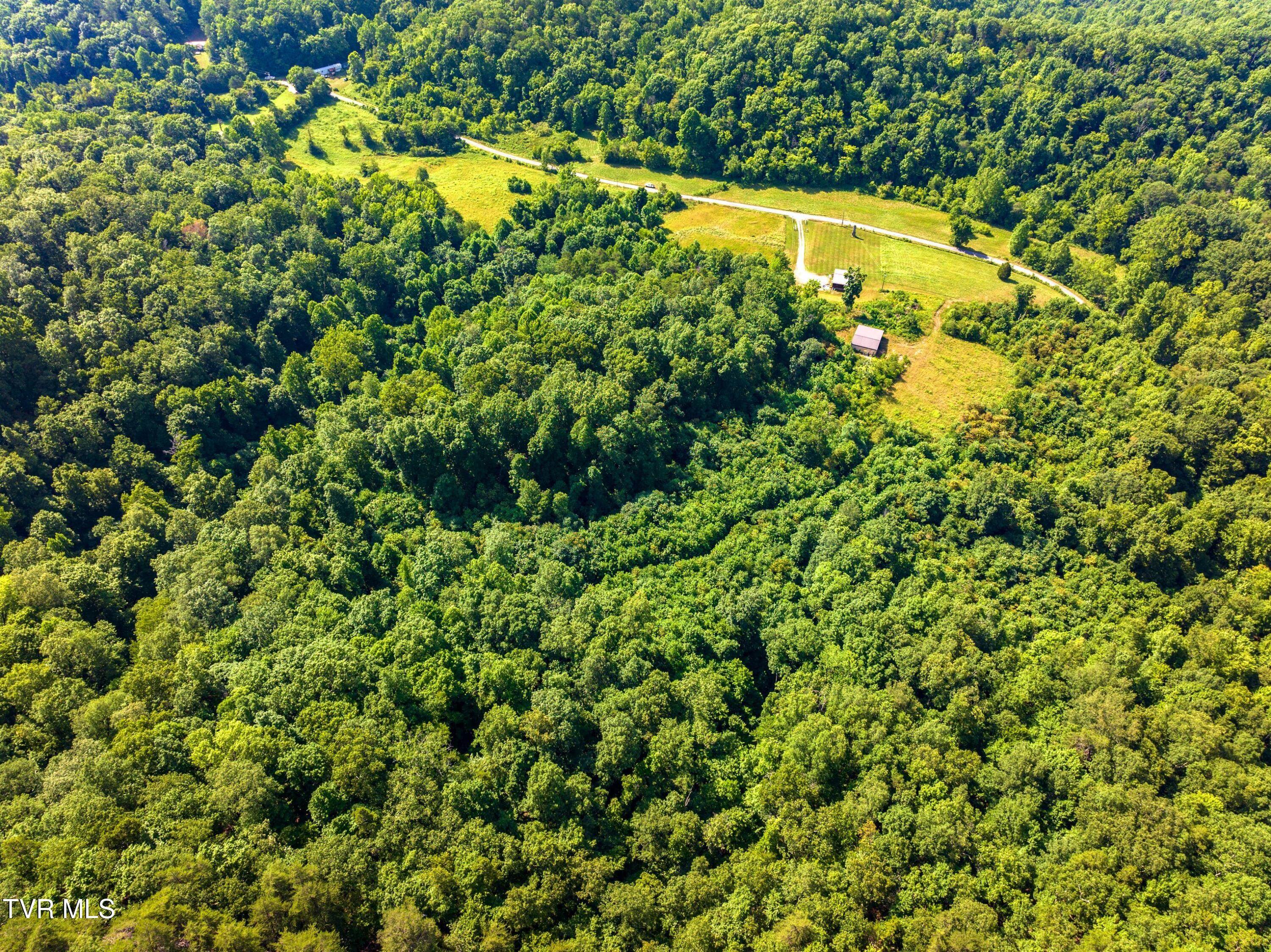 Tbd Sandy Valley Tract 2-b, Rogersville, Tennessee image 5