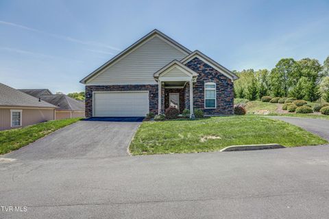 Photo of 1434 Hatterdale Farm Road, Blountville, TN 37617 (MLS # 9991787)