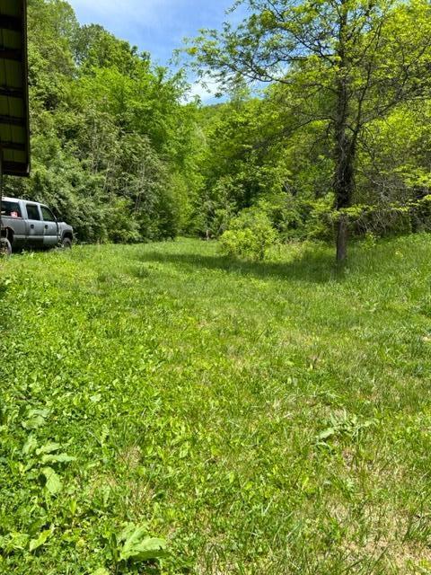 1144 Fairview Road, Duffield, Virginia image 20