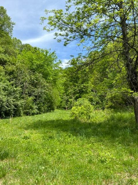 1144 Fairview Road, Duffield, Virginia image 5