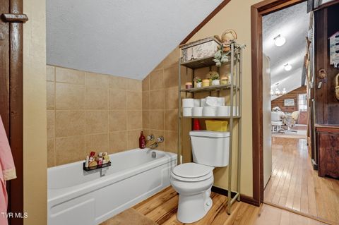 Tiny photo for 17363 Primrose Lane, Abingdon, VA 24210 (MLS # 9986310)