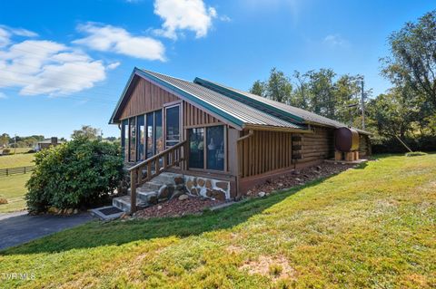 Tiny photo for 17363 Primrose Lane, Abingdon, VA 24210 (MLS # 9986310)