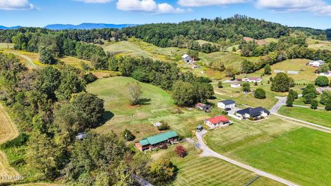 Tiny photo for 17363 Primrose Lane, Abingdon, VA 24210 (MLS # 9986310)