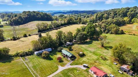Tiny photo for 17363 Primrose Lane, Abingdon, VA 24210 (MLS # 9986310)