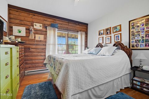 Tiny photo for 17363 Primrose Lane, Abingdon, VA 24210 (MLS # 9986310)