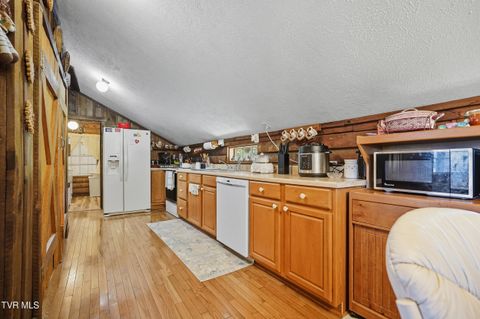 Tiny photo for 17363 Primrose Lane, Abingdon, VA 24210 (MLS # 9986310)