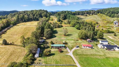 Tiny photo for 17363 Primrose Lane, Abingdon, VA 24210 (MLS # 9986310)