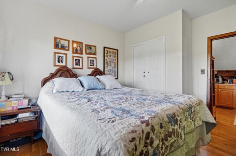 Tiny photo for 17363 Primrose Lane, Abingdon, VA 24210 (MLS # 9986310)