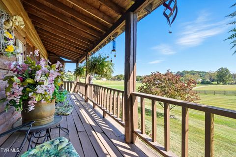Tiny photo for 17363 Primrose Lane, Abingdon, VA 24210 (MLS # 9986310)