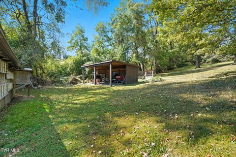Tiny photo for 17363 Primrose Lane, Abingdon, VA 24210 (MLS # 9986310)