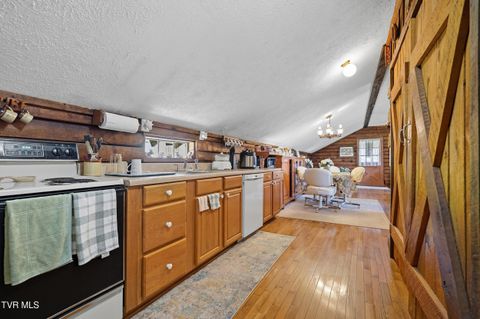 Tiny photo for 17363 Primrose Lane, Abingdon, VA 24210 (MLS # 9986310)