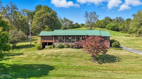 Tiny photo for 17363 Primrose Lane, Abingdon, VA 24210 (MLS # 9986310)
