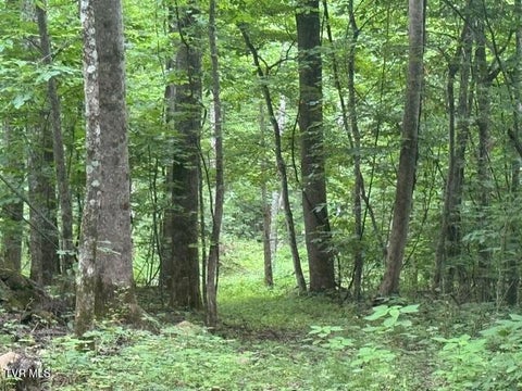 Vacant Land For Sale - TBD Sugar Loaf Mountain Road<br/> Marshall, NC 28753