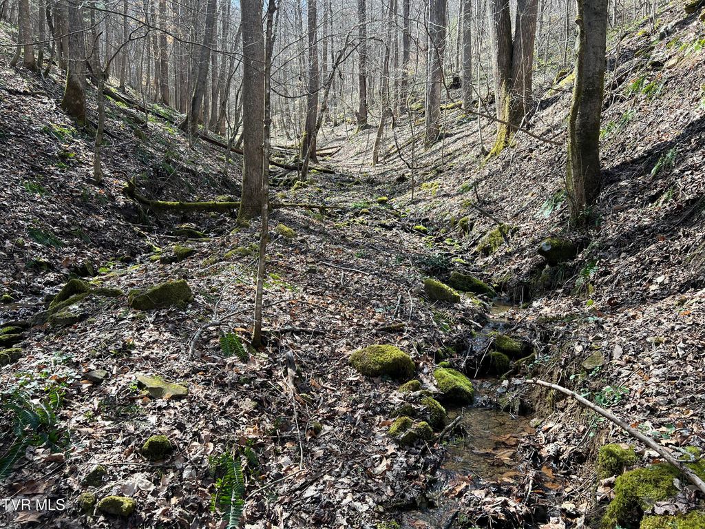 Photo of Tbd Bull Run Road, Coeburn, VA 24230 (MLS # 9993755)