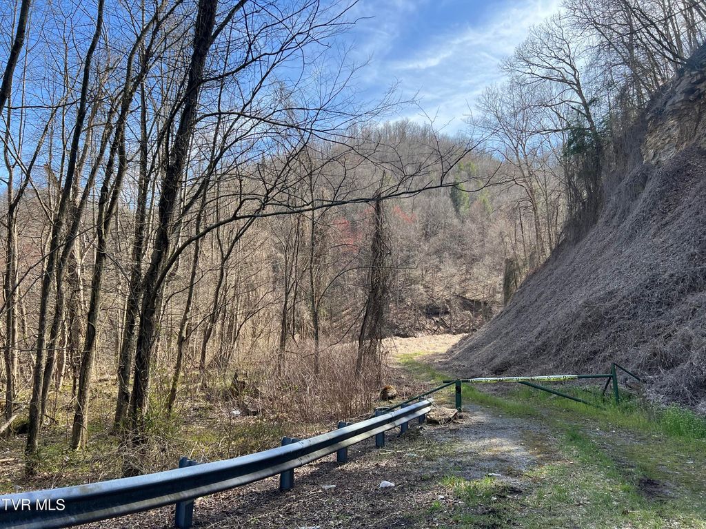 Photo of Tbd Bull Run Road, Coeburn, VA 24230 (MLS # 9993755)