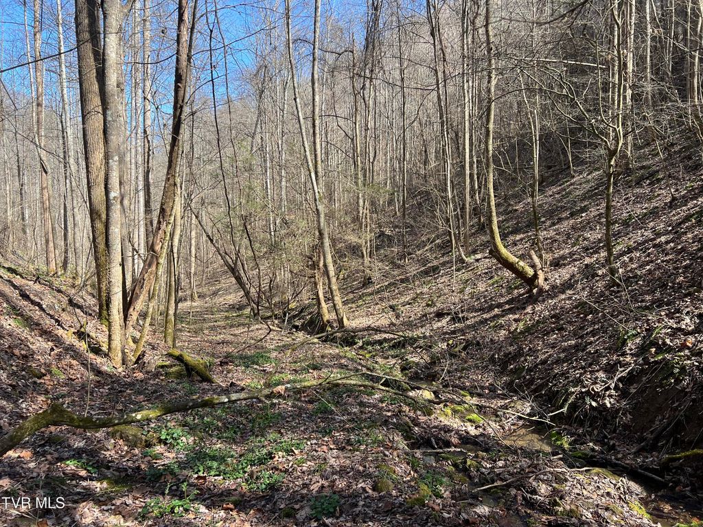 Photo of Tbd Bull Run Road, Coeburn, VA 24230 (MLS # 9993755)
