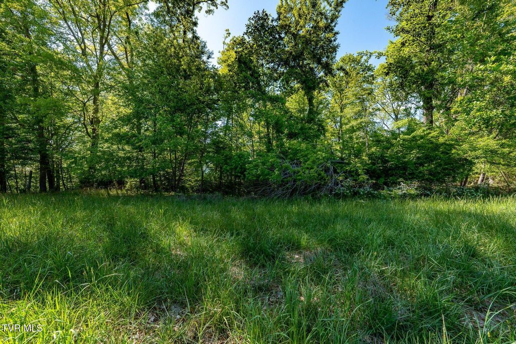 Photo of Tbd Goose Bradley Lane, Butler, TN 37640 (MLS # 9995280)