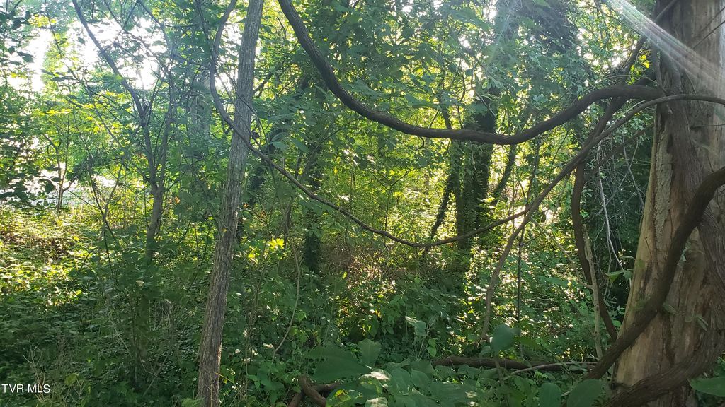 Photo of 1113 Taylor Lane, Kingsport, TN 37660 (MLS # 9973218)