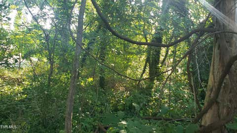 Vacant Land For Sale - 1113 Taylor Lane<br/> Kingsport, TN 37660