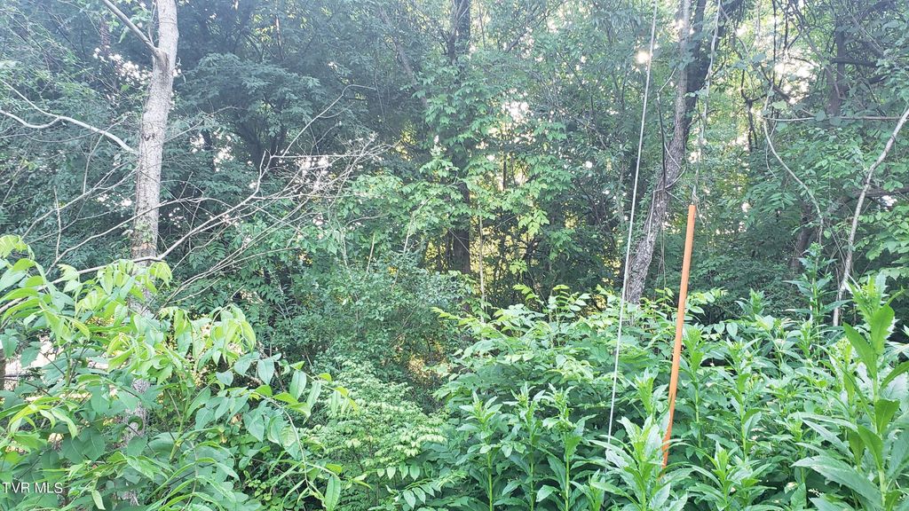 Photo of 1113 Taylor Lane, Kingsport, TN 37660 (MLS # 9973218)