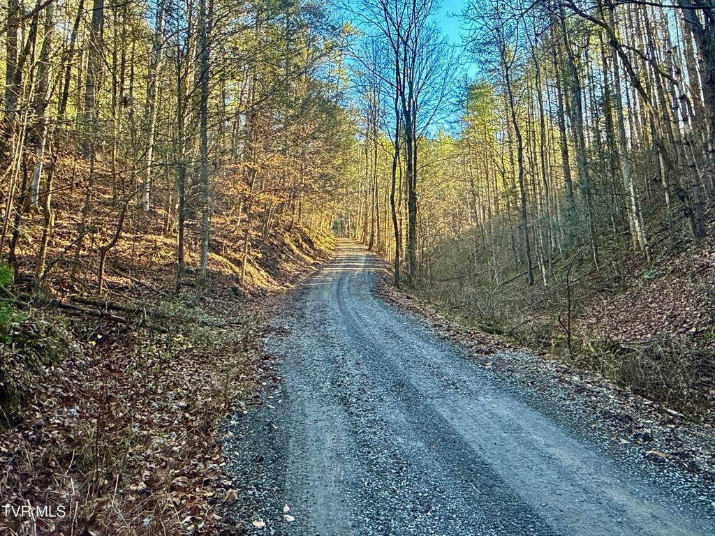 Photo of 2572 Tbd Rollins Road, Hartford, TN 37753 (MLS # 9989304)