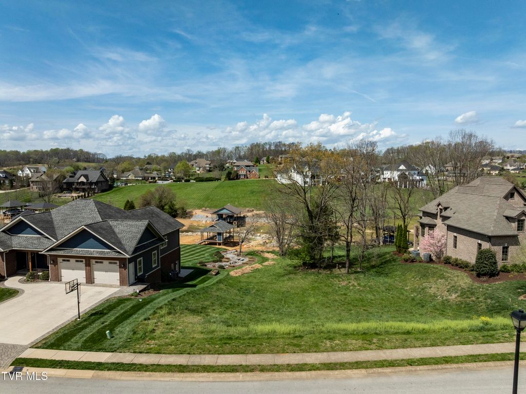 Photo of 156 Forest Lane, Blountville, TN 37617 (MLS # 9993412)